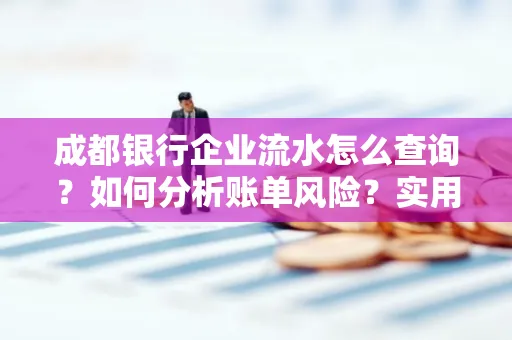 成都银行企业流水怎么查询？如何分析账单风险？实用指南